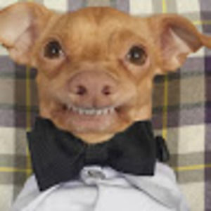 Meet your Posher, Andre